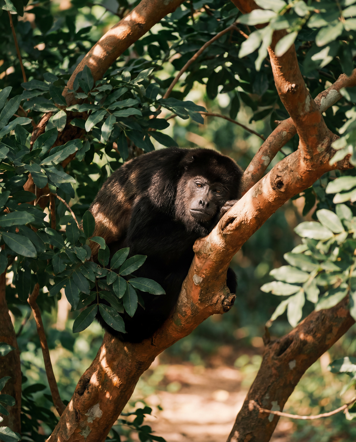 NAture journey package